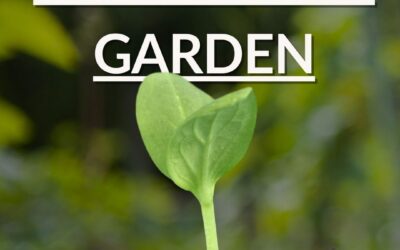 Join our Community Garden